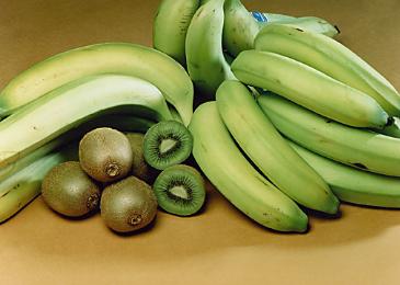 BANANAER  Kiwi 1